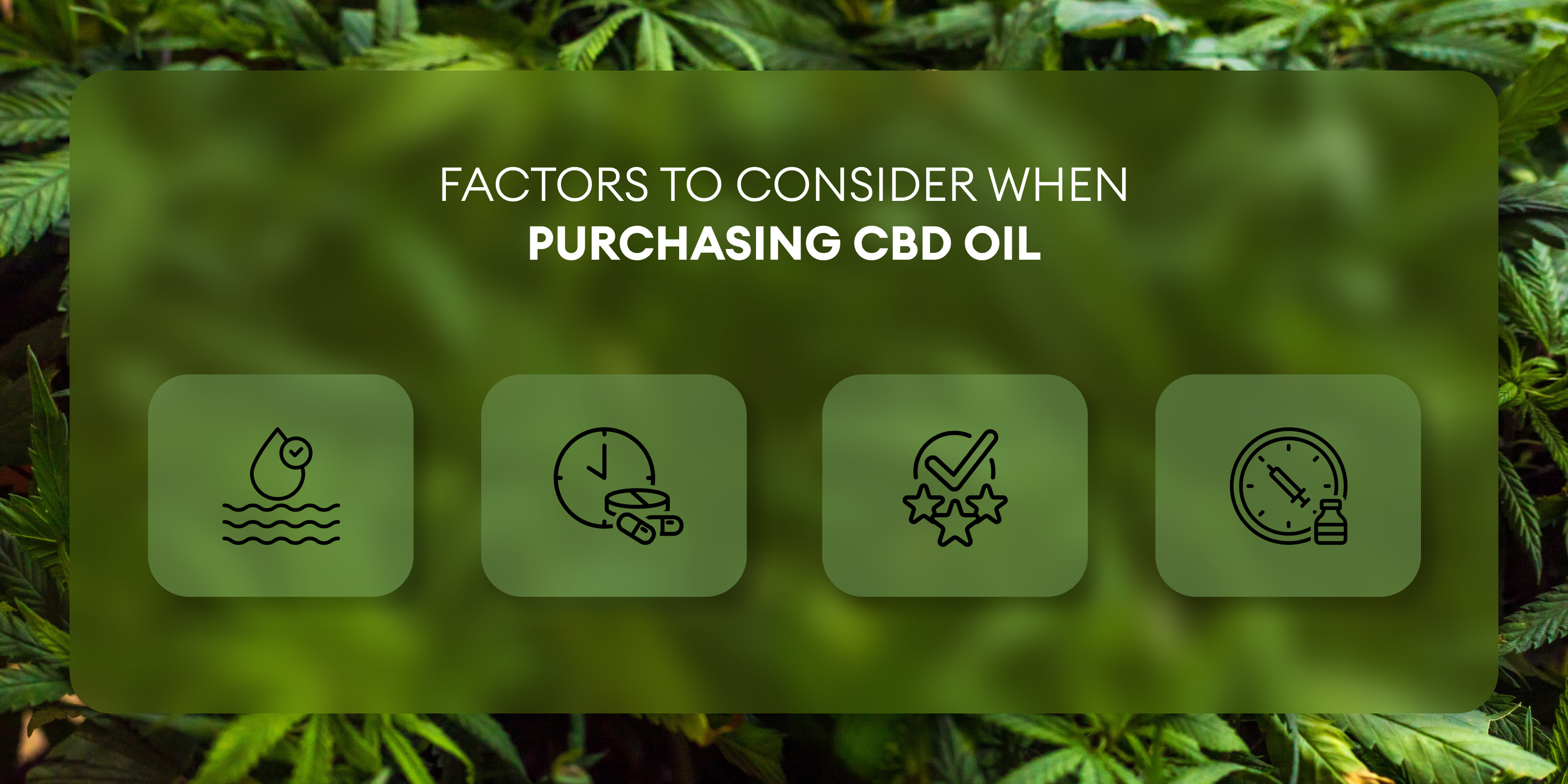 cbd products in India